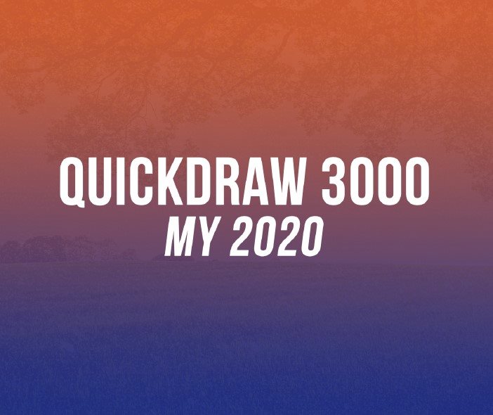 MY 2020 button